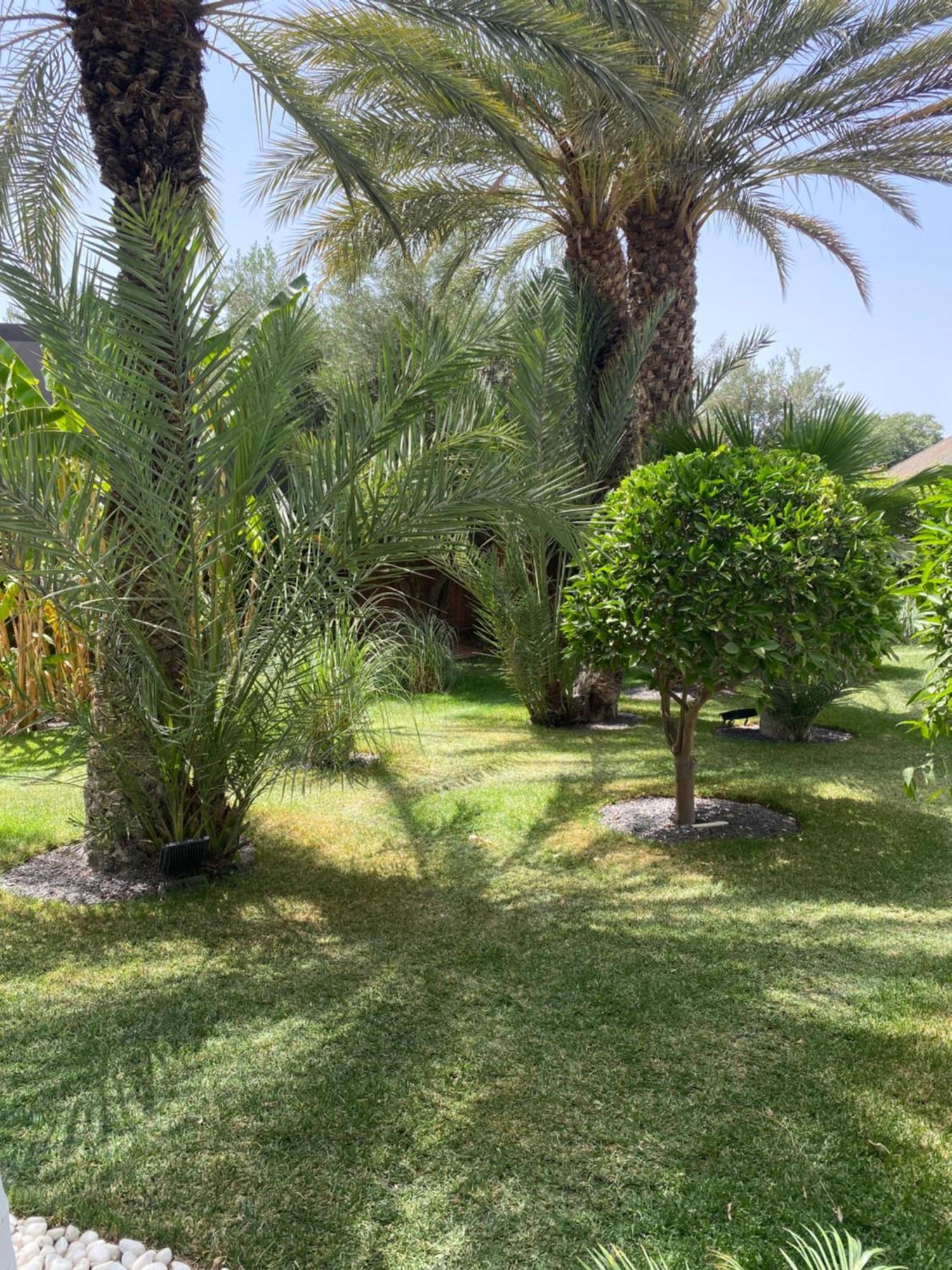Lagouassem Villa Mano מראה חיצוני תמונה