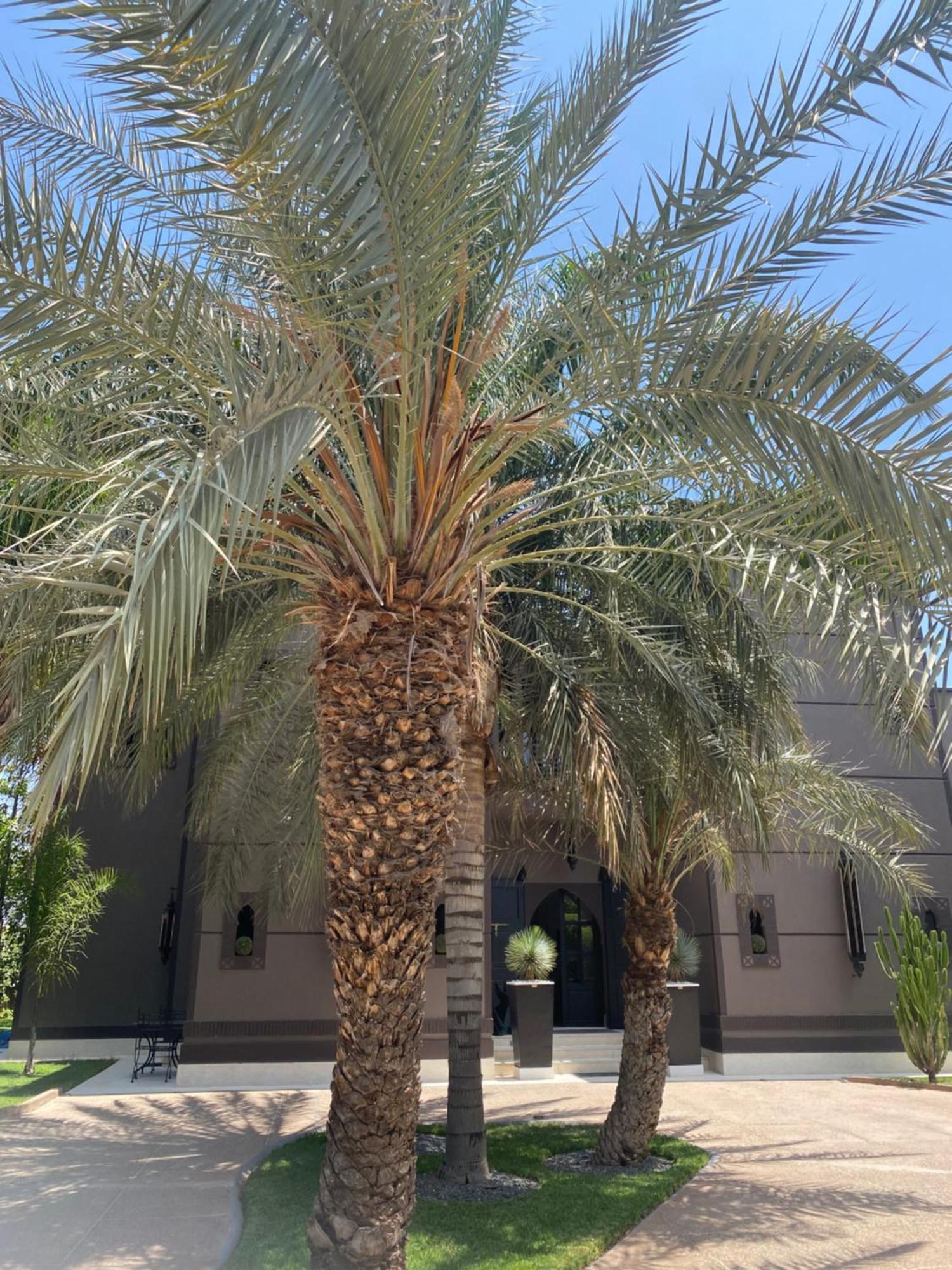 Lagouassem Villa Mano מראה חיצוני תמונה