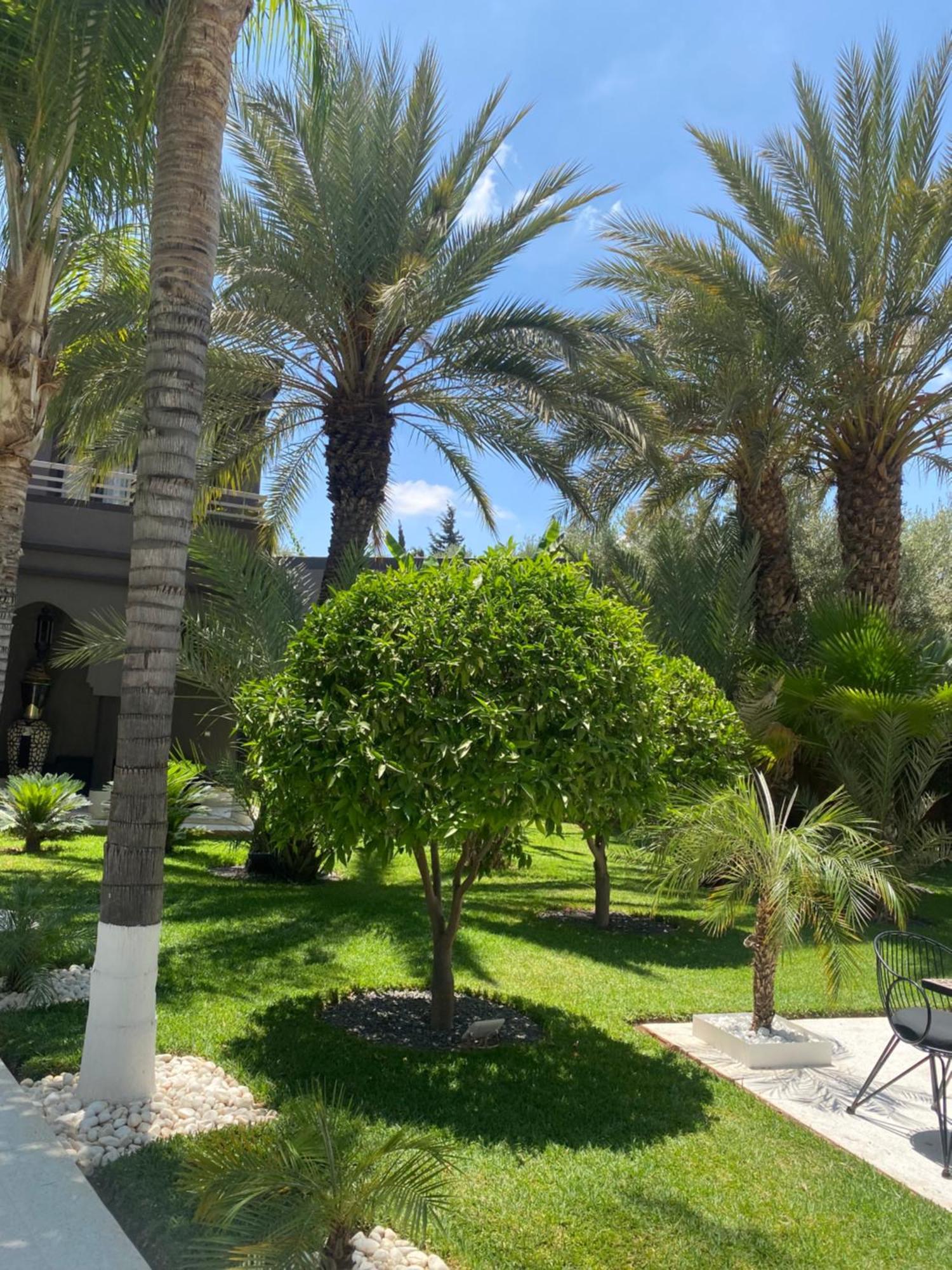 Lagouassem Villa Mano מראה חיצוני תמונה